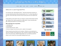 Laser Engraved Pet Photos - Laser Engraved Pets