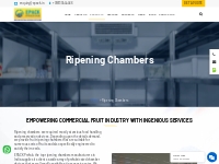 Banana Ripening Chamber Manufacturer | Mango Ripening Chamber