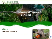 Erie Tree Trimmers | Tree Service   Tree Removal Erie PA