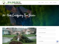 Emergency Tree Service   Tree Removal - Erie Tree Trimmers
