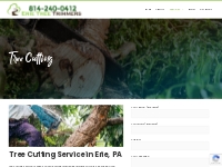 Tree Cutting Service in Erie, PA - Erie Tree Trimmers