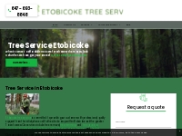            Etobicoke Tree Service | Tree Removal in Etobicoke ON