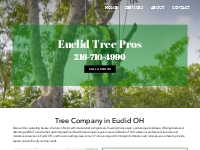 Tree Company | Tree Specialist | Euclid, OH