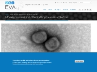 Monkeypox virus and other Orthopoxviruses collection | EVAg