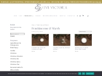 Frankincense   Myrrh | Eve Victoria Home Fragrance