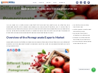 Maximizing Profits Through Fresh Pomegranate Exports in 2023