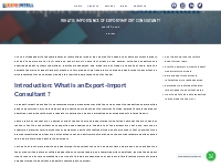 What Is Importance of Export-Import Consultant?