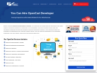 Opencart Expert Enhance Your Ecommerce with Expert Solutions