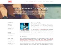 web development company india | Eyecatchy Designs