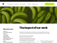 The impact of our work - Fairtrade