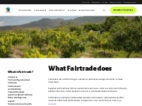 What Fairtrade does - Fairtrade
