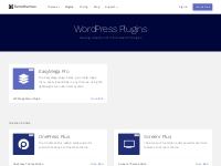 Best WordPress Plugins 2024 - FameThemes