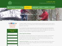 Tree Service in Johns Creek GA | Emergency Tree Cutting   Removal John