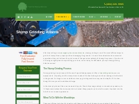 Stump Grinding Atlanta | Stump Removal Atlanta