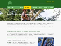 Best Tree Service in Dunwoody, GA Near Me | Free Estimate (404) 220-99