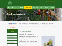 Tree Trimming Atlanta | Fast Tree Removal Services Atlanta