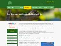 Tree Trimming and Pruning in Dunwoody Ga | Free Estimate (404) 220-996