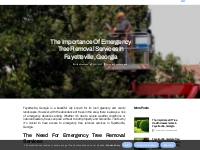 The Importance of Emergency Tree Removal Services in Fayetteville, Geo