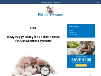 Our Blog | Fido’s Fences