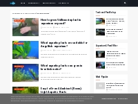 Fishaholic - DIY Projects, Aquarium Filter and Planted Aquariums