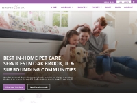 Pet Sitting and Dog Walking in the Chicago Suburbs | Floofins   Co.