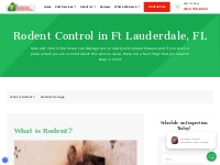 Rodent Control Services | Florida Pest Control Center