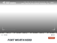 The Herd: Daily Longhorn Cattle Drives in Fort Worth, Texas