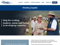Working Equids - The Foundation For The Horse