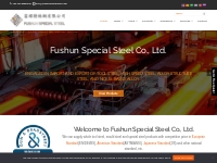Fushun Special / Professional Manufacturer of Special Steel