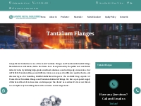 Tantalum Flanges