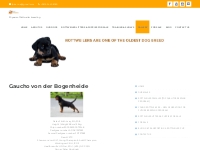 Gaucho von der Bogenheide | FP Rottweiler Breeder