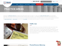 Brave Law Center Practices | Family Law, Criminal Defense   More