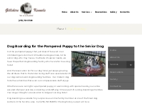 Dog Boarding Tacoma WA | Dog Kennels Tacoma | Dog Hotel Tacoma