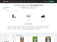Gipote.dk - Danmarks største portal for køb og salg af hunde