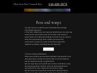 Bees and wasps | Glen Cove Pest Contr