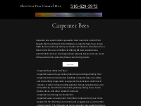 Carpenter Bees | Glen Cove Pest Contr