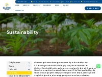 Sustainability | Globe Moving | Reduce Environmental Impact