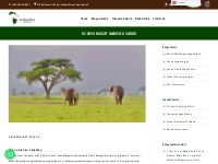 03 DAYS AMBOSELI SAFARI | Go East Africa