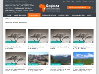 African Beach Vacation Holiday Packages  Gofan Safaris and Travel Afri