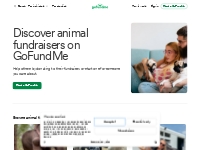 GoFundMe - Discover Animal fundraisers