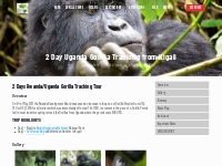 2 Day Uganda Gorilla Tracking from Kigali | Uganda gorilla trekking