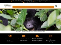 Gorilla Tours Uganda | Gorilla walking safaris | Uganda Safaris