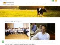 News | Cattle Farming, Breeding and Feeding | Grand Master