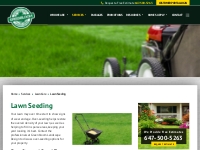 Lawn Overseeding Service | Greenbloom Landscape Design