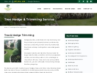 Tree   Hedge Trimming Service - Green Earth Services of TX