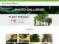 Photo Galleries - Tropical Office Plant Service in Baltimore, MD