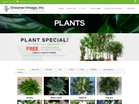 Baltimore Office Plants Service | Tropical Plant Service Baltimore