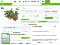 Organic Uva Ursi Leaf Powder Suppliers | Bulk Organic Uva Ursi Leaf Po