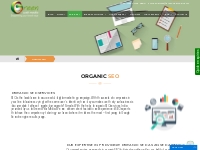 Organic SEO Company   Agency | Organic SEO Services India - Green Web 