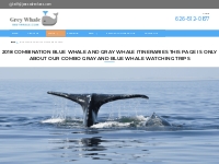 Combo Trips - Gray and Blue Whale Watching Season Tours in Baja Mexico